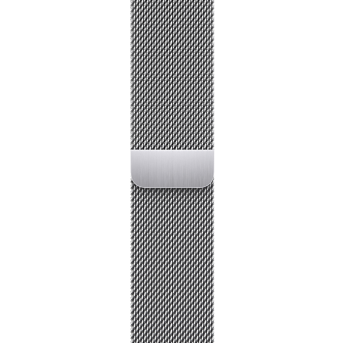 Apple Watch Milanese Band Silver